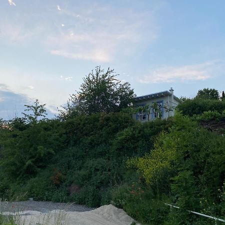 Weinbergshaus mit Blick auf's Wasser Salzatal Exterior foto