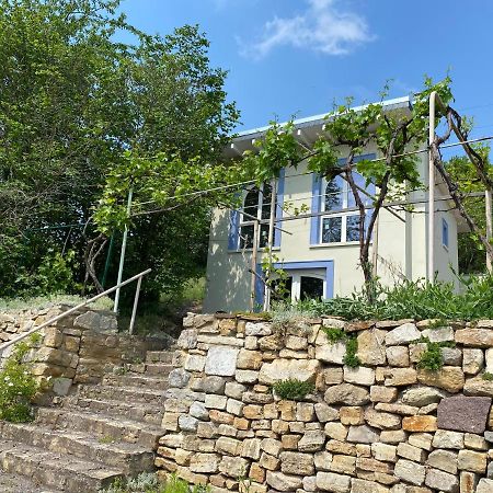 Weinbergshaus mit Blick auf's Wasser Salzatal Exterior foto