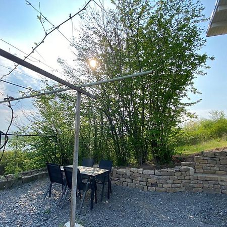 Weinbergshaus mit Blick auf's Wasser Salzatal Exterior foto