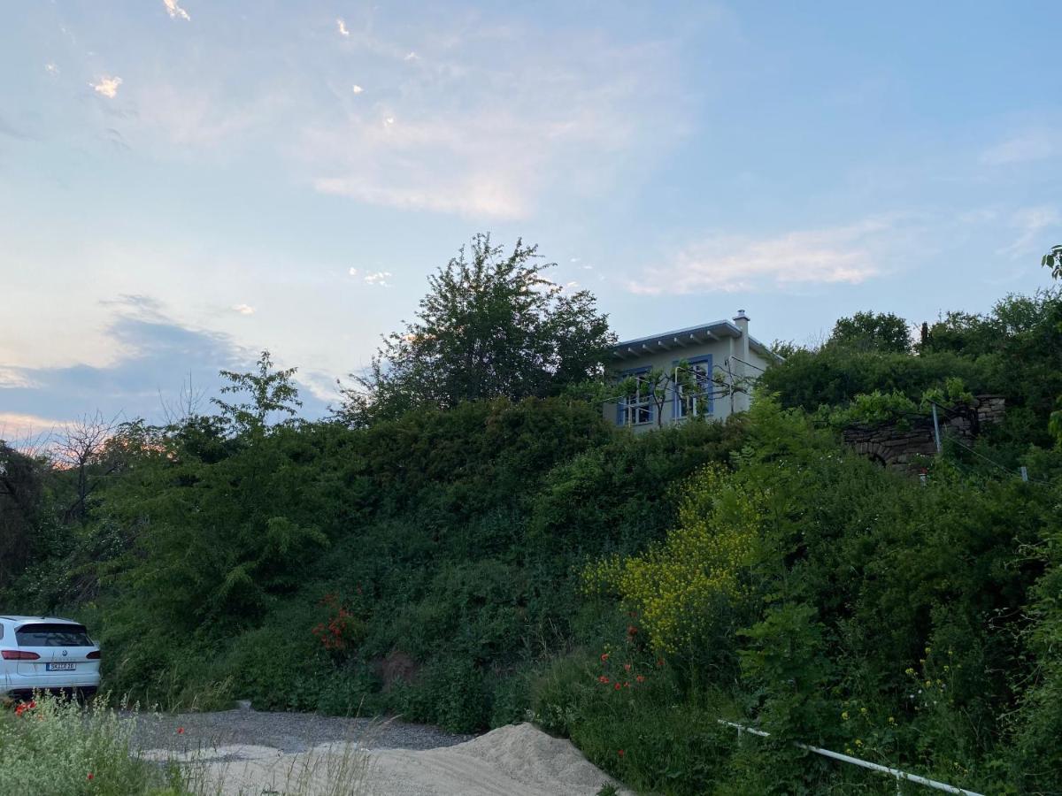 Weinbergshaus mit Blick auf's Wasser Salzatal Exterior foto