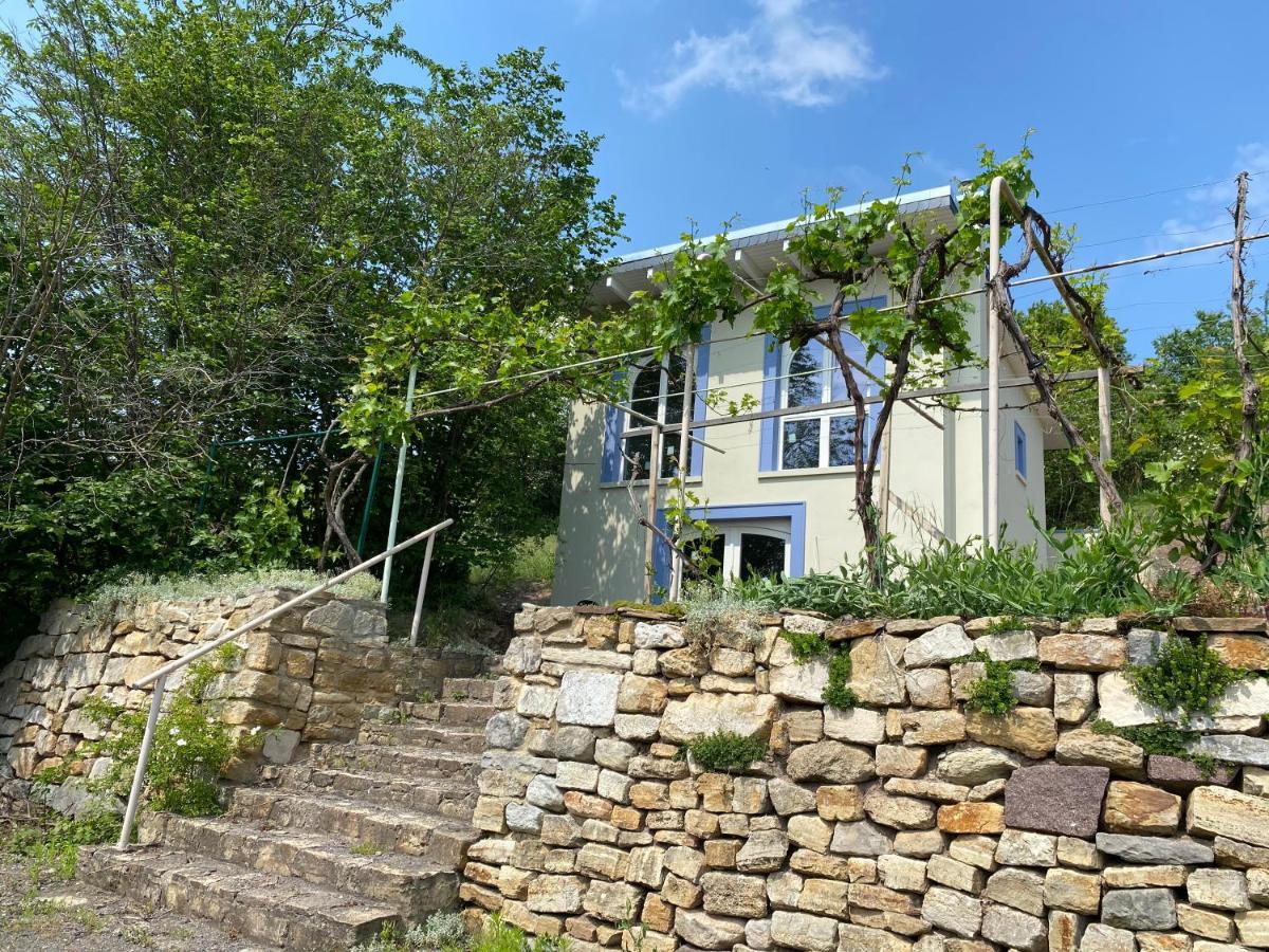 Weinbergshaus mit Blick auf's Wasser Salzatal Exterior foto